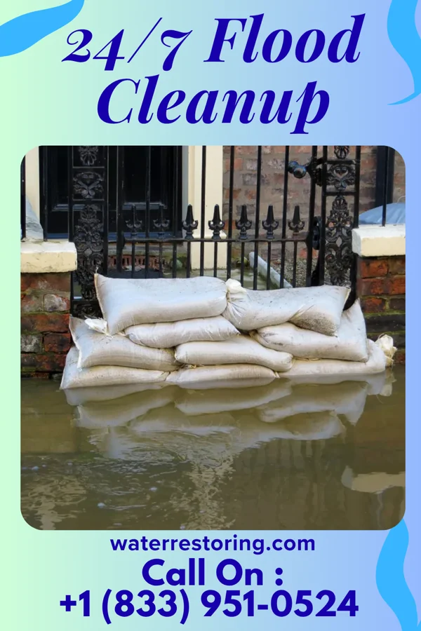 24/7 Flood Cleanup in Cross Timbers, MO