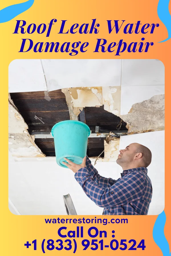 Roof Leak Water Damage Repair in Cross Timbers, MO