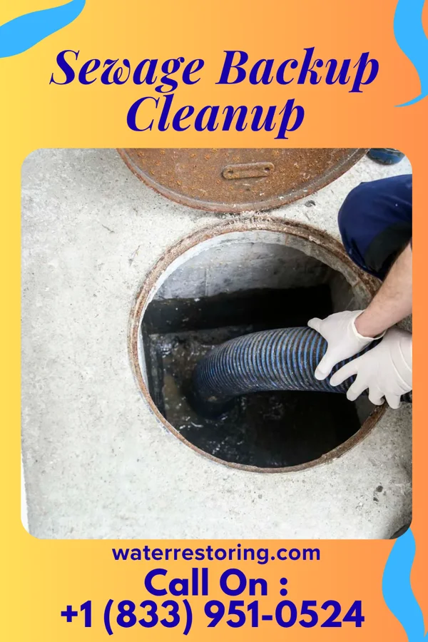 Sewage Backup Cleanup in Cross Timbers, MO