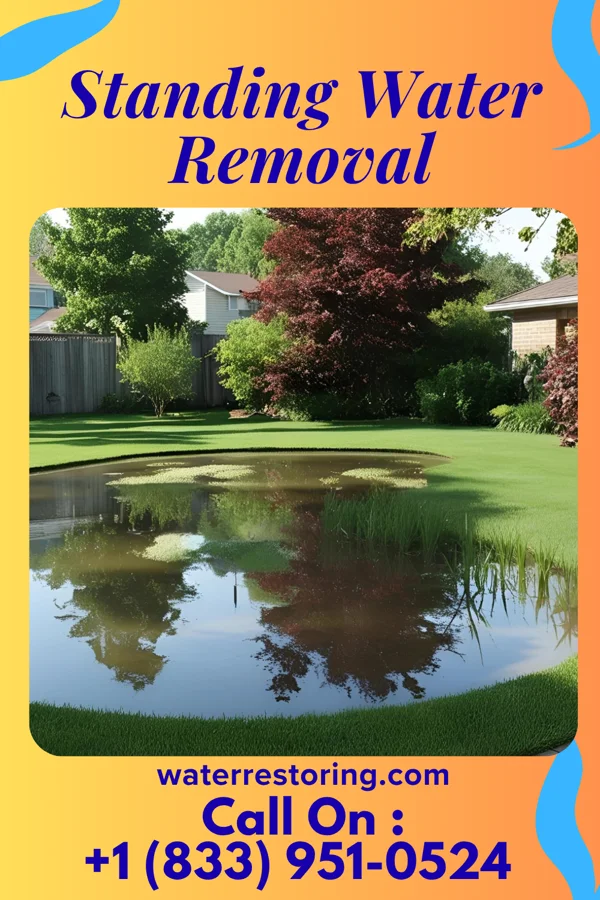 Standing Water Removal in Cross Timbers, MO